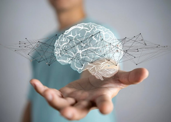 Fisioterapia Neurológica