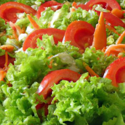 Salada de Alface