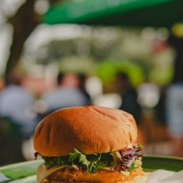 Hamburguer de Frango