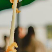 Stick`s De Mozzarella